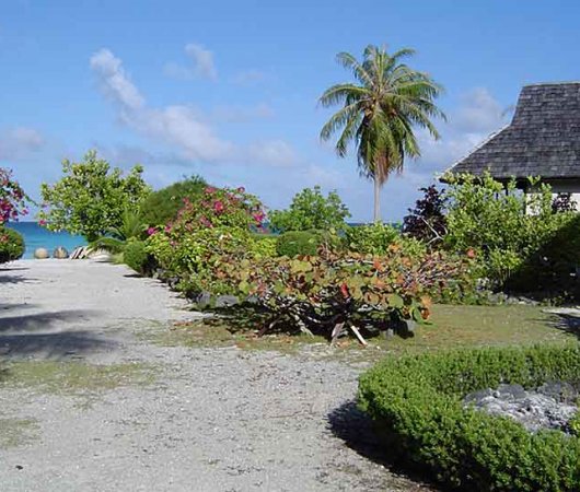 aquarev-plongee-sous-marine-polynesie-francaise-fakarava-sejour-pension-tokerau-village-allee-jardin