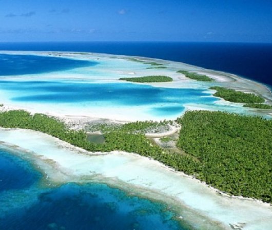 aquarev-plongee-sous-marine-polynesie-francaise-rangiroa-sejour-pension-cecile-atoll-rangiroa