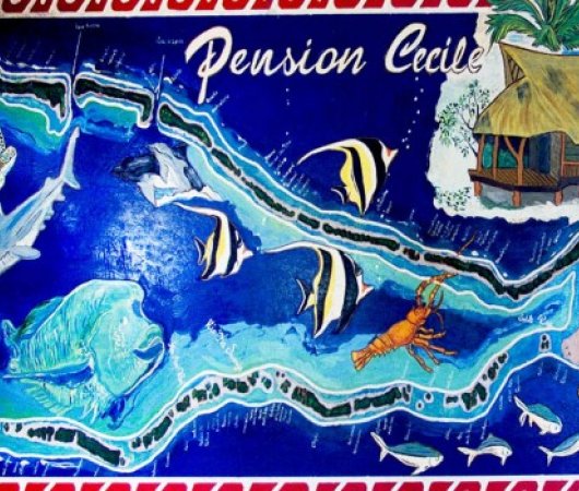 aquarev-plongee-sous-marine-polynesie-francaise-rangiroa-sejour-pension-cecile-image-de-poissons-faience