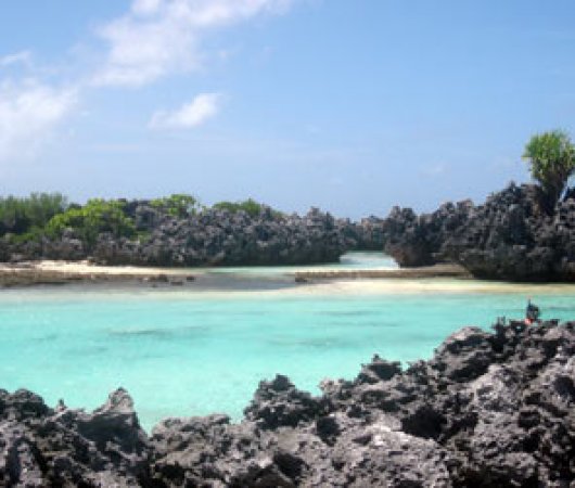 aquarev-plongee-sous-marine-polynesie-francaise-rangiroa-sejour-pension-raira-lagon-ile-aux-recifs