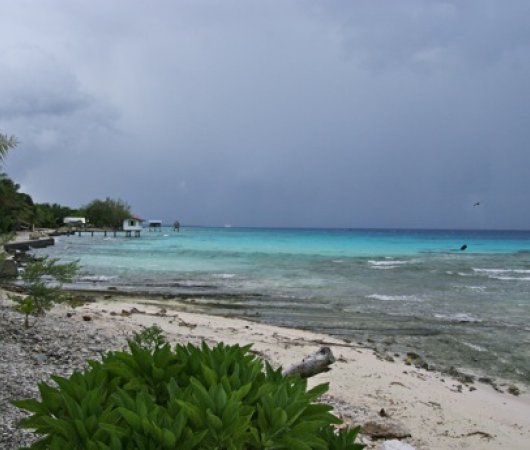 aquarev-plongee-sous-marine-polynesie-francaise-rangiroa-sejour-pension-tevahine-dream-plage-mer