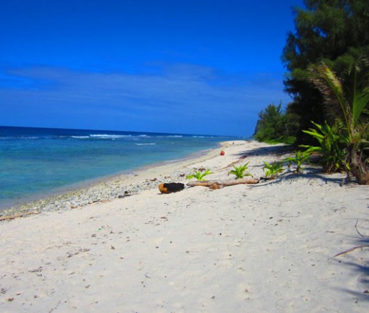 aquarev-plongee-sous-marine-polynesie-francaise-rurutu-archipel-des-australes-sejour-pension-manotel-plage-sable-blanc