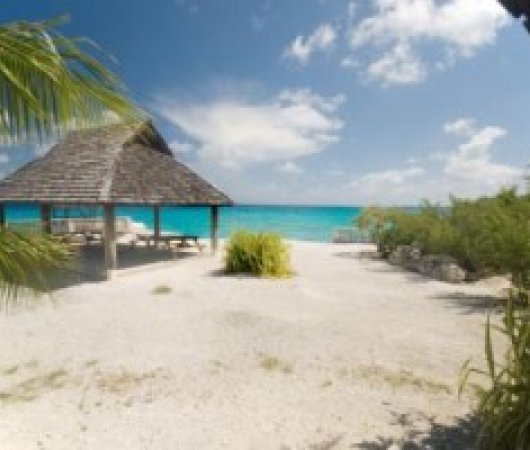 aquarev-plongee-sous-marine-polynesie-francaise-sejour-rangiroa-pension-chez-cecile-plage