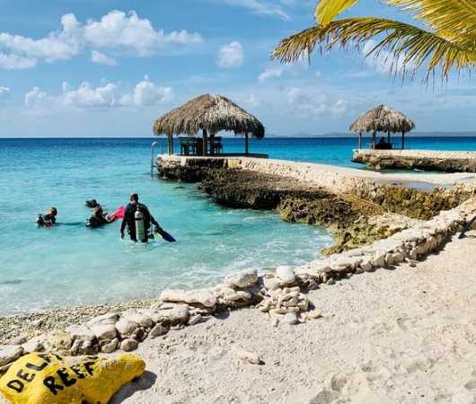 aquarev-plongee-sous-marine-sejour-bonaire-centre-de-plongee-dive-friends-bonaire-reefbis