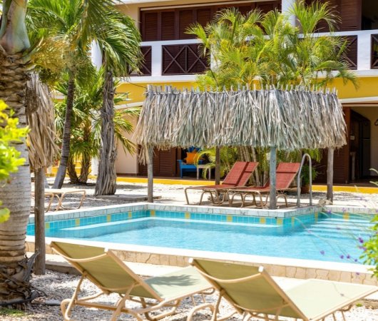 aquarev-plongee-sous-marine-sejour-bonaire-hotel-djambo-piscine-et-jardin-transats6