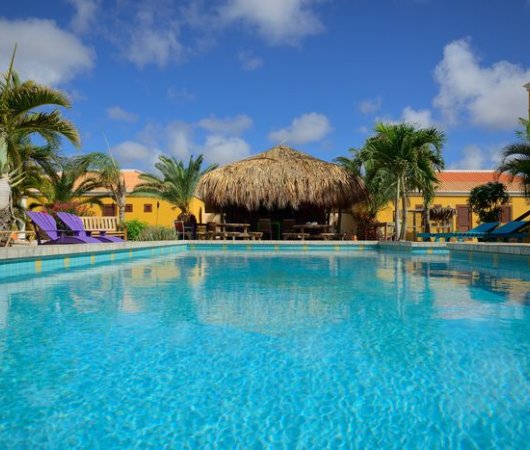 aquarev-plongee-sous-marine-sejour-bonaire-hotel-djambo-piscinebis