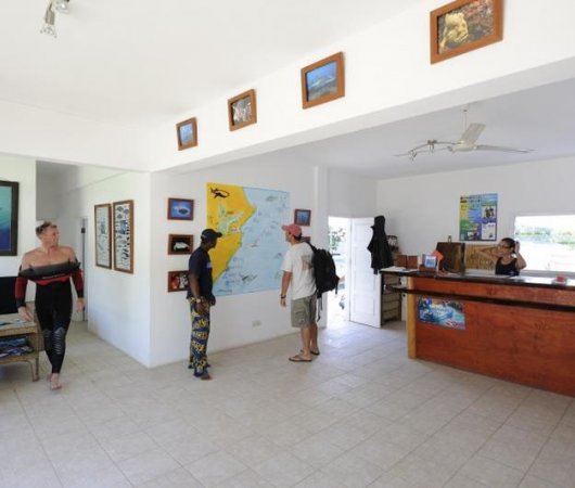 aquarev-plongee-sous-marine-sejour-centre-mozambique-scuba-diversity-centre1