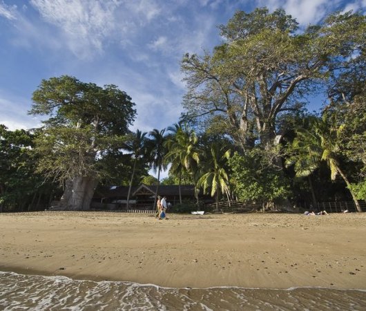 aquarev-plongee-sous-marine-sejour-hotel-mayotte-jardin-maore-plage-devant-l-hotel