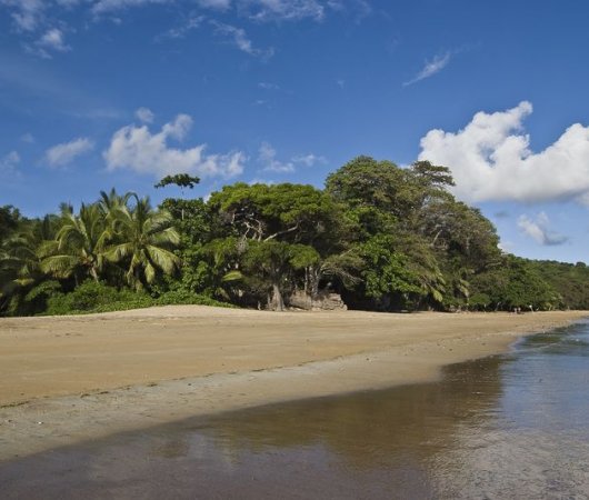 aquarev-plongee-sous-marine-sejour-hotel-mayotte-jardin-maore-plage