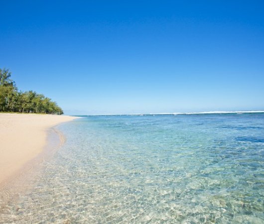 aquarev-plongee-sous-marine-sejour-la-reunion-hotel-le-recif-plage