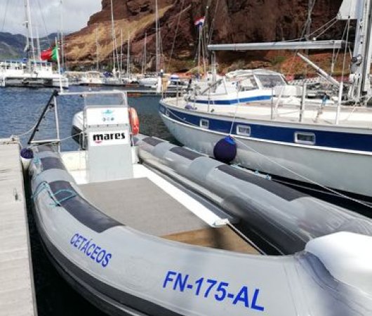 aquarev-plongee-sous-marine-sejour-madere-centre-de-plongee-azul-diving-center-bateau-marinabis