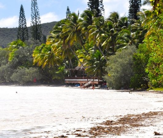 aquarev-plongee-sous-marine-sejour-nouvelle-caledonie-ile-des-pins-hotel-kou-bugny-plagebis