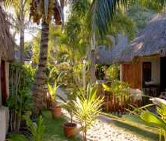 aquarev-plongee-sous-marine-sejour-polynesie-bora-bora-temanuata-bungalow-jardin