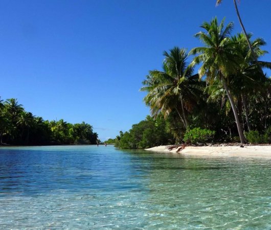 aquarev-plongee-sous-marine-sejour-polynesie-francaise-fakarava-sud-tetamanu-diving-ile