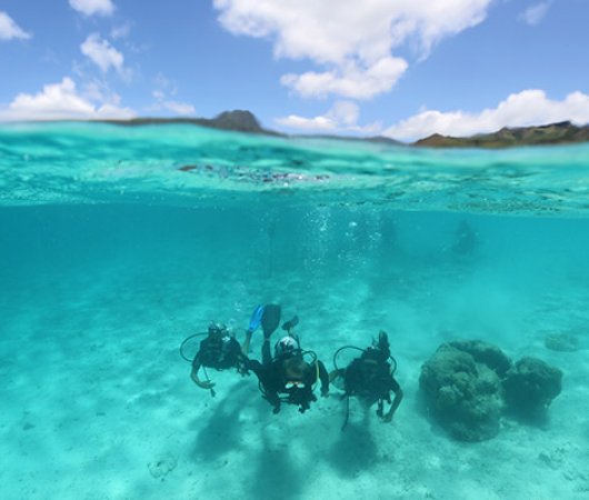 aquarev-plongee-sous-marine-sejour-polynesie-francaise-moorea-centre-scubapiti-bapteme-de-plongee