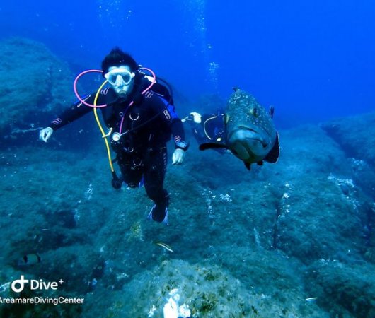aquarev-plongee-sous-marine-sejour-sardaigne-centre-de-plongee-areamare-diving-center-plongeuse-meroubis