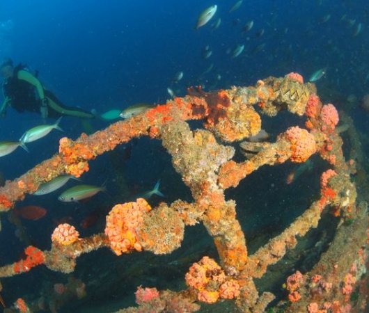 aquarev-plongee-sous-marine-sejour-seychelles-bue-sea-divers-centre-underwater-epave4