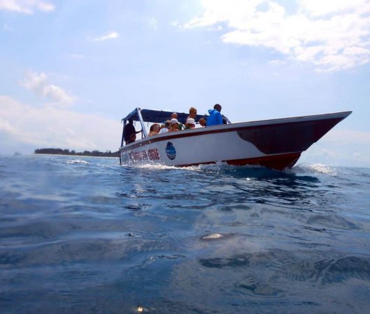 aquarev-plongee-sous-marine-tanzanie-zanzibar-sejour-centre-de-plongee-one-ocean-bateau-plongee