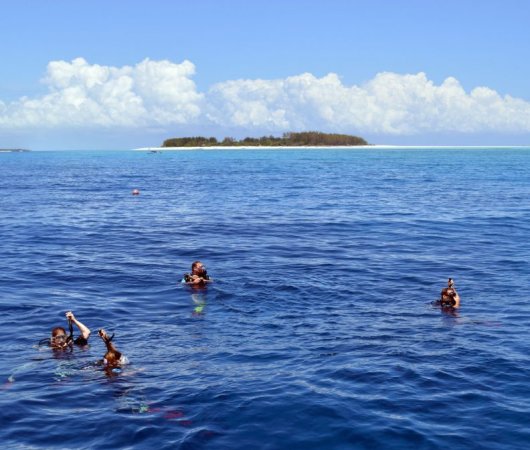 aquarev-plongee-sous-marine-tanzanie-zanzibar-sejour-centre-de-plongee-one-ocean-plongeurs-mer