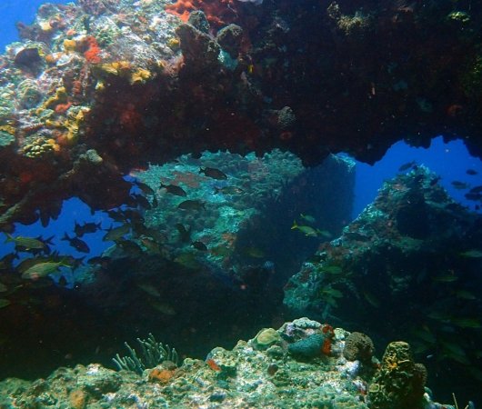 aquarev-plongee-sous-marine-voyage-sejour-caraibes-la-dominique-cabrits-dive-center-toucari-cave26