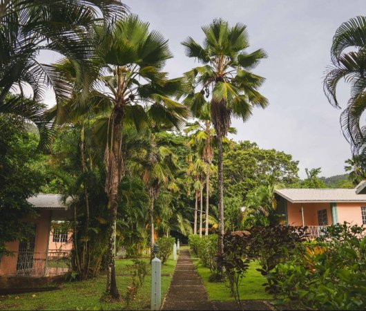 aquarev-plongee-sous-marine-voyage-sejour-caraibes-la-dominique-kootney-resorts-chemin-des-jardins