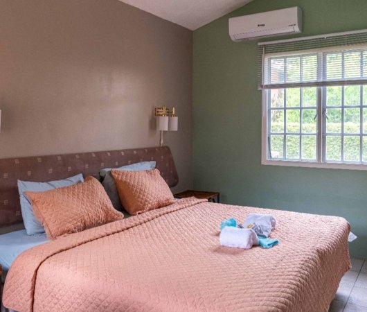aquarev-plongee-sous-marine-voyage-sejour-caraibes-la-dominique-kootney-resorts-cottage-2-chambres-2-sdb-chambre3