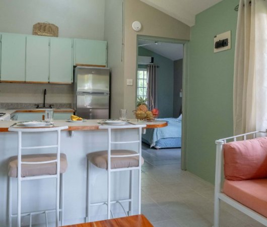 aquarev-plongee-sous-marine-voyage-sejour-caraibes-la-dominique-kootney-resorts-cottage-a-une-chambre-cuisine-salon5