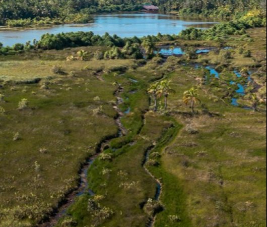 aquarev-plongee-sous-marine-voyage-sejour-maldives-fuvahmulah-the-shark-residence-vue-terrain-de-boue