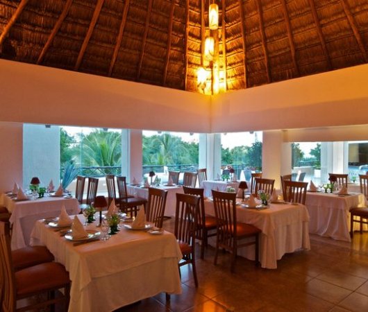 aquarev-plongeesousmarine-mexique-sejour-hotel-thereefplayacar-restaurant