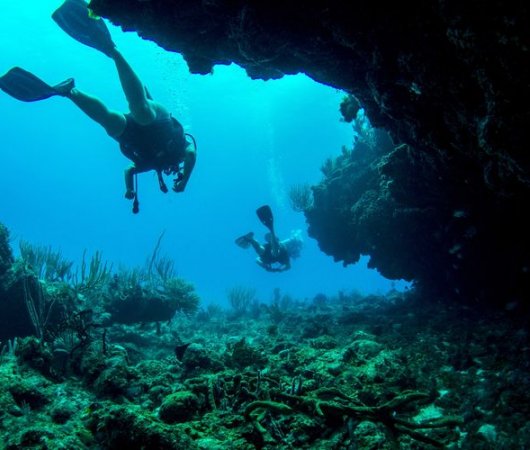 aquarev-voyage-plongee-sour-marine-sejour-republique-dominicaine-centre-reef-oasis-recif2-resultat