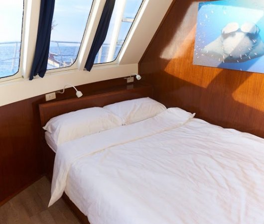 aquarev-voyageplongeesousmarine-croisiere-birmanie-thesmilingseahorse-cabinemaster