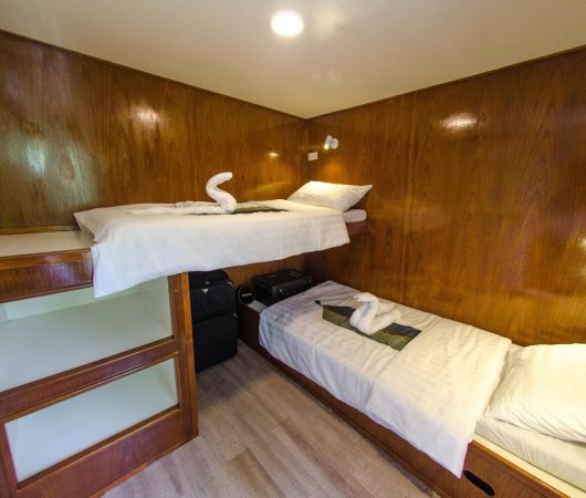 aquarev-voyageplongeesousmarine-croisiere-birmanie-thesmilingseahorse-cabinestandard
