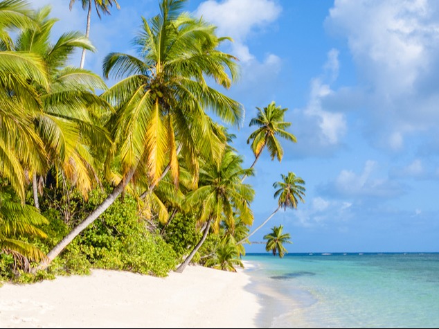 Blue Safari Seychelles